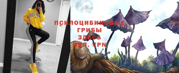 ALPHA-PVP Беломорск