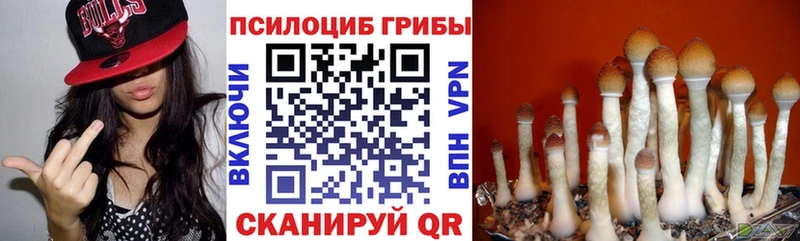 Галлюциногенные грибы ЛСД  Балабаново 